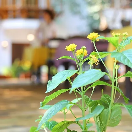 Akyaka Yali Capkini * アクヤカ