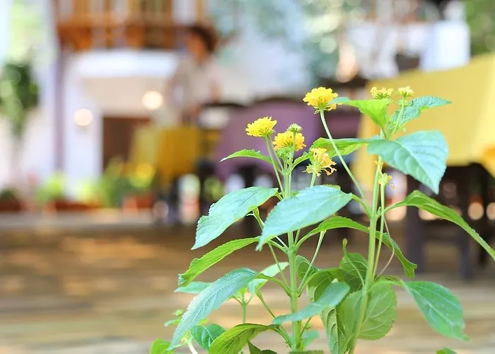 Akyaka Yali Capkini * Akyaka (Mugla)