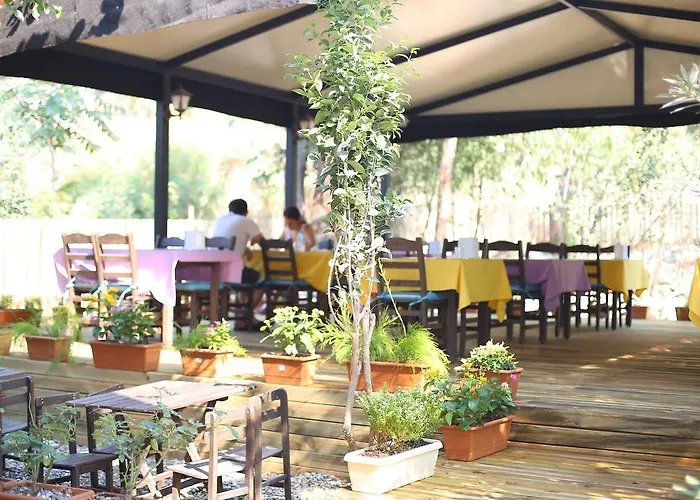 Akyaka Yali Capkini *